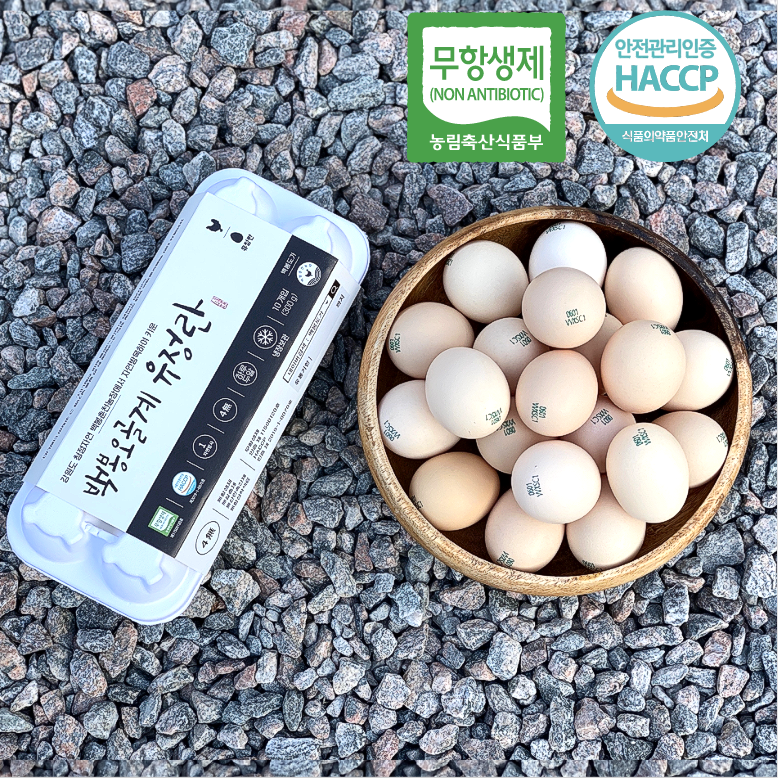 6시내고향 백봉오골계란  오골계알 자연방사 난각번호 1번 영자초란 20구/30구/40구/50구 41,900원