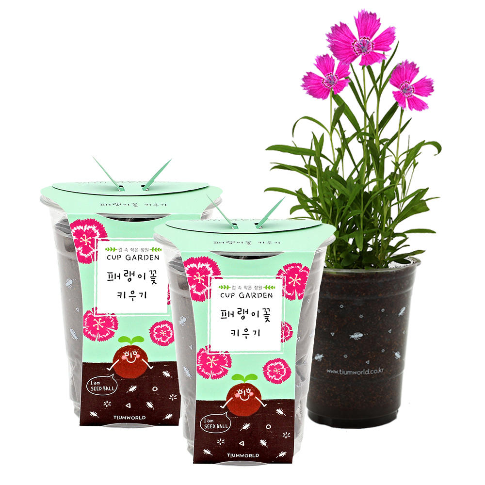 틔움세상 컵가든 패랭이꽃 키우기 5,100원