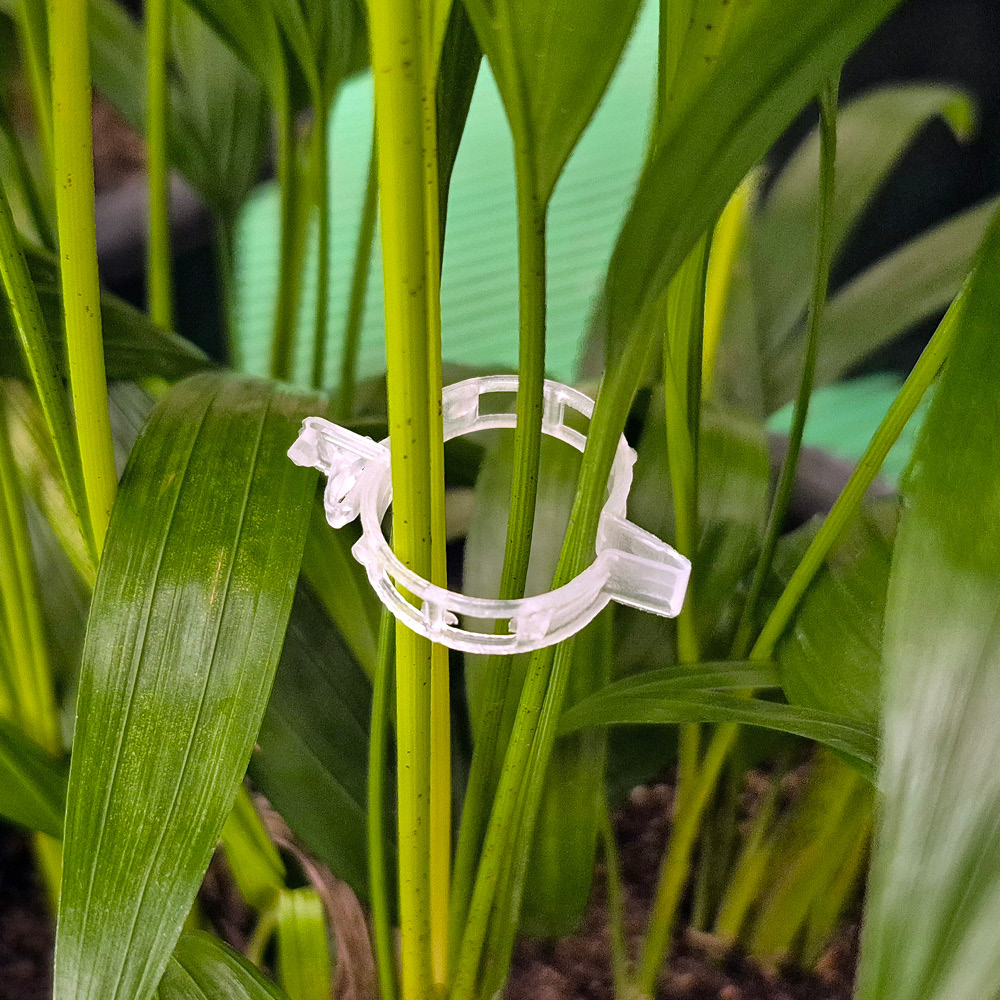 morningscent 줄기고정클립 식물지지대, 100개 3,900원