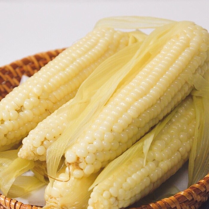 국내산 무주 대학 찰옥수수, 180g, 30개 48,000원