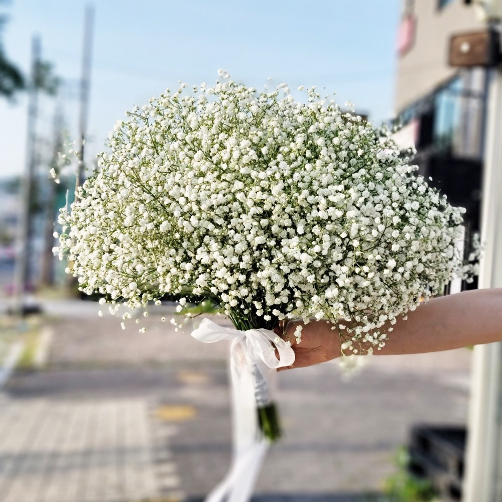 안개 생화 부케 꽃다발 셀프 웨딩촬영 부토니에 농장직송 생화택배 꽃배달싼곳 29,900원