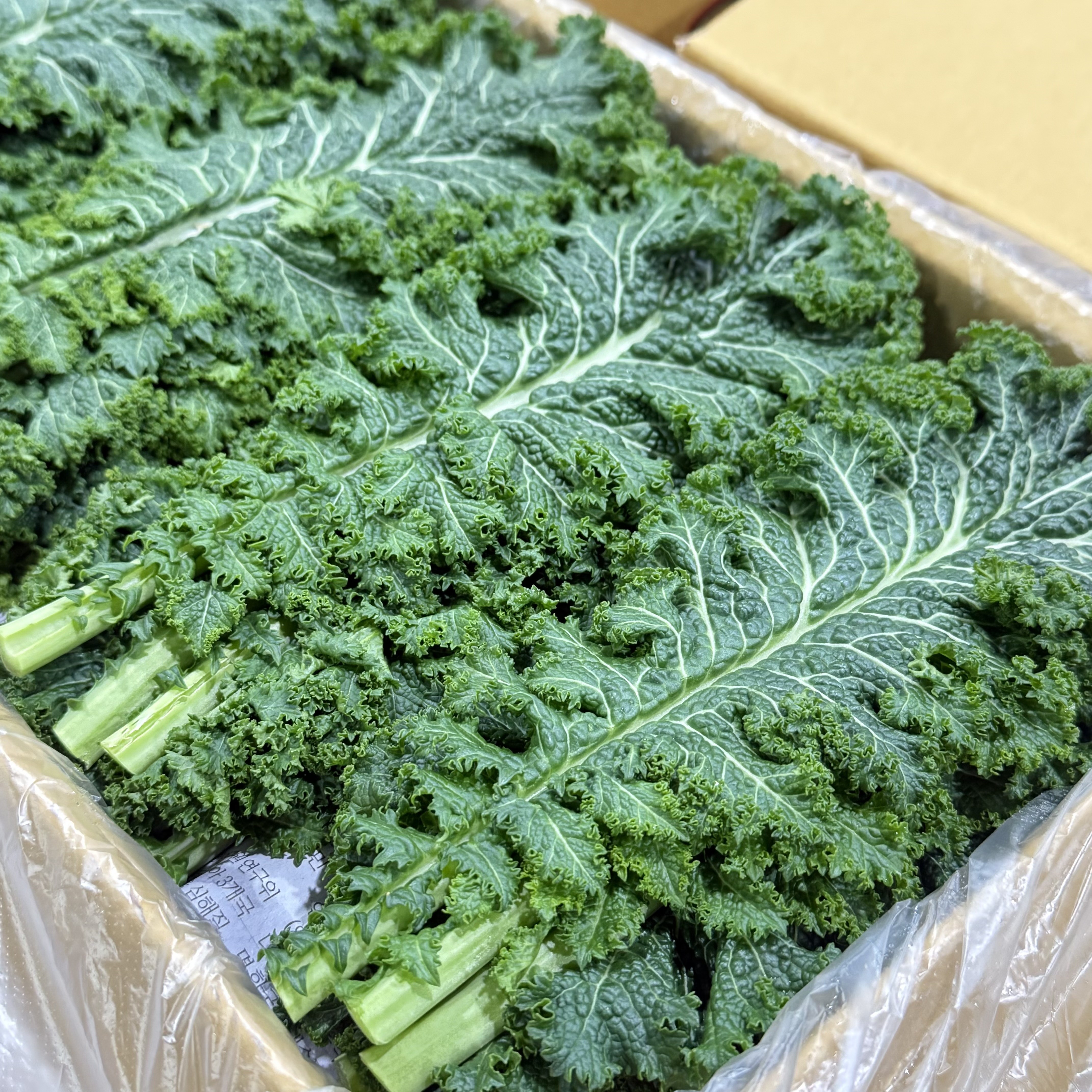 농진사 청겨자 겨자 국내산 특품, 2kg, 1개 15,900원