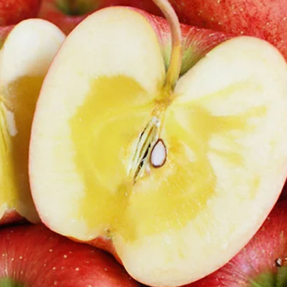 [50박스한정초특가] 재구매율1위 농장직송 부사사과 꿀사과, 1개, 5kg 28,200원