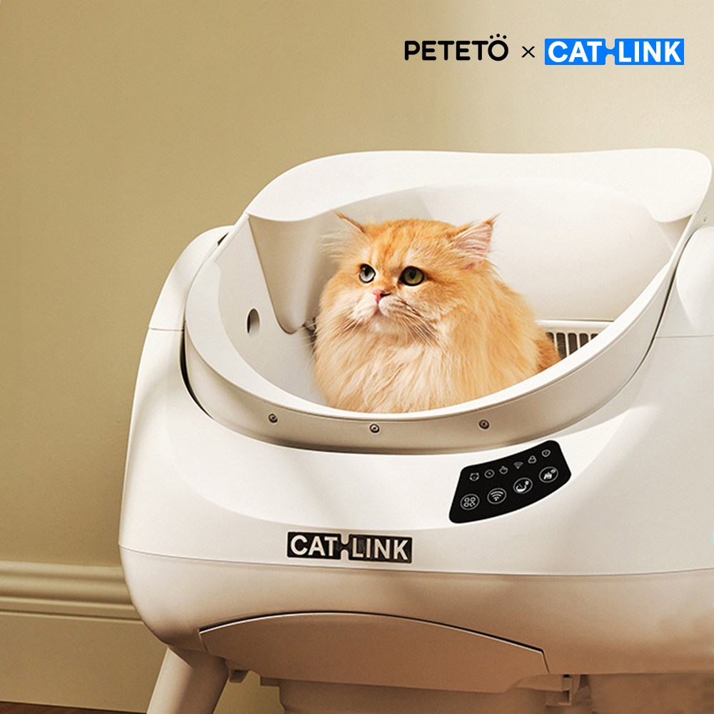 [런칭이벤트] 발판증정 26년형 페테토 캣링크 고양이 자동화장실 오픈형 코오롱 공식A/S 특대형 OPEN X, 화이트, 자동 화장실 399,000원