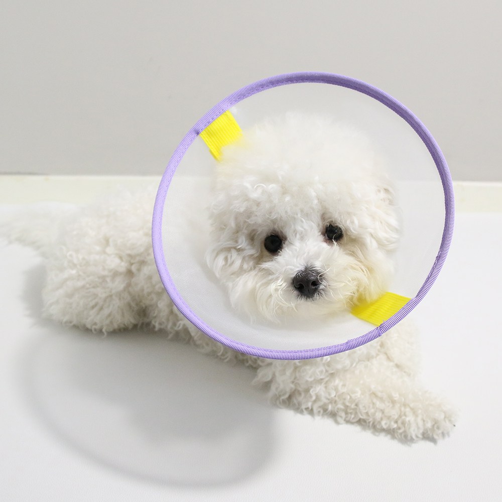 드림계곡 반려동물 초경량 나일론 메쉬 넥카라, 보라색, 1개 13,900원