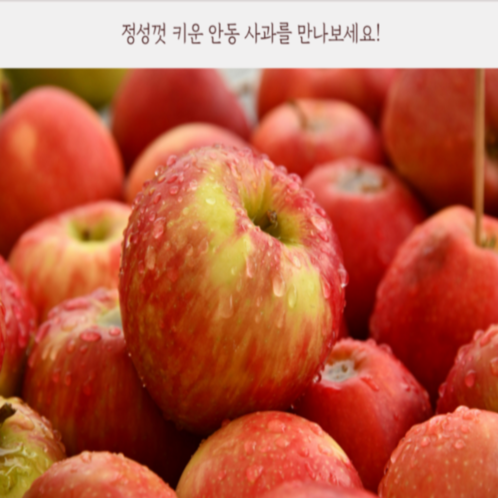 초특가! 못난이 안동사과, 1개, 10kg  가정용부사 소과 (50~70개) 29,900원