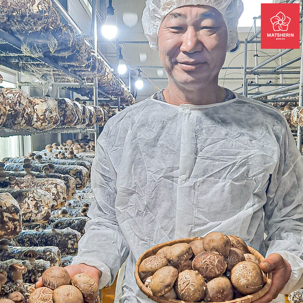 농장직송 무농약 송화고 자송버섯 표고 송이 20,400원