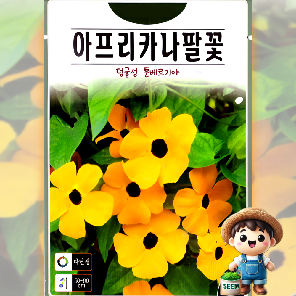 꽃 씨앗 모음 꽃씨 코스모스 해바라기 채송화 나팔 물망초 루피너스 자운영 안개초 금영화, 1개 3,000원