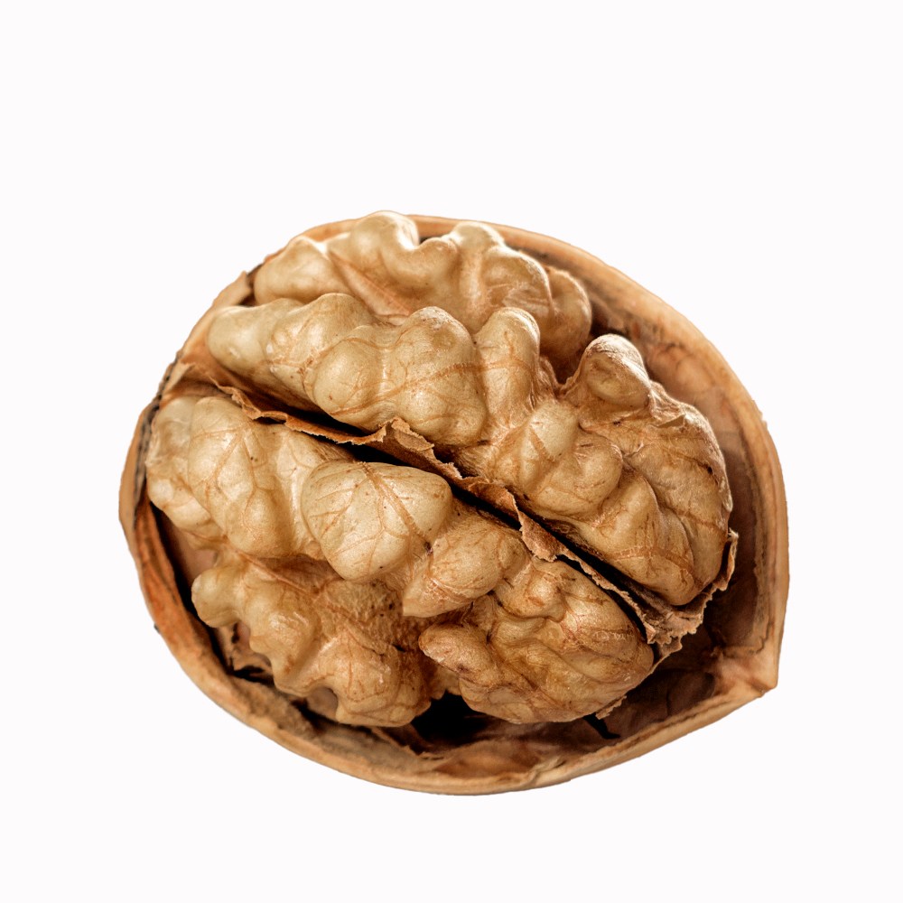 더옹달샘 얇은 껍질 국산 햇호두 500g 특품 피호두(상), 1개, 500g 16,300원