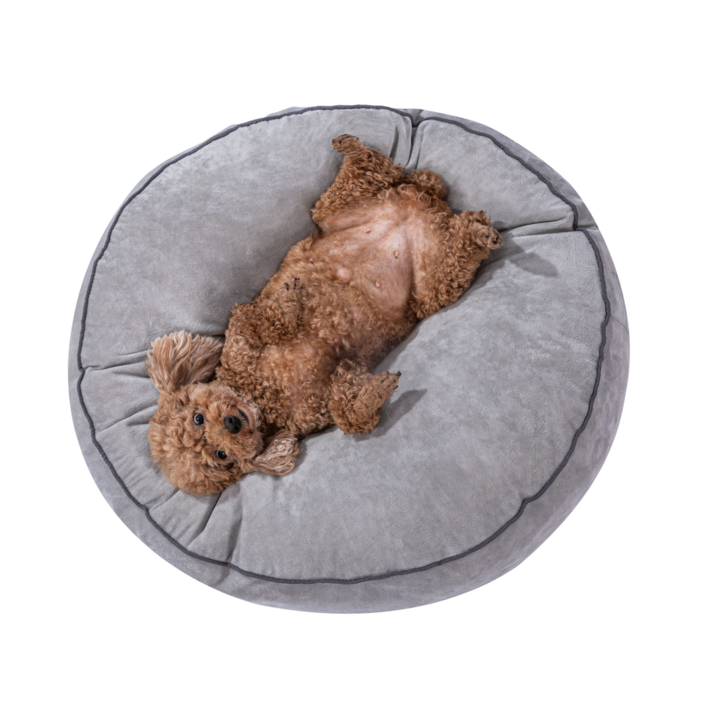 펫샵 소프트 펫쿠션 부드러운 강아지 방석 19,900원