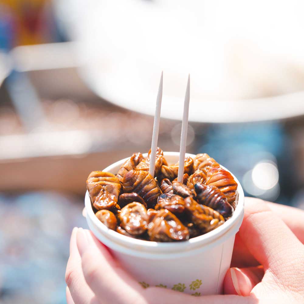 고소한 간식 냉동번데기 4kg 술안주 반찬 고단백 옛날그맛 27,900원