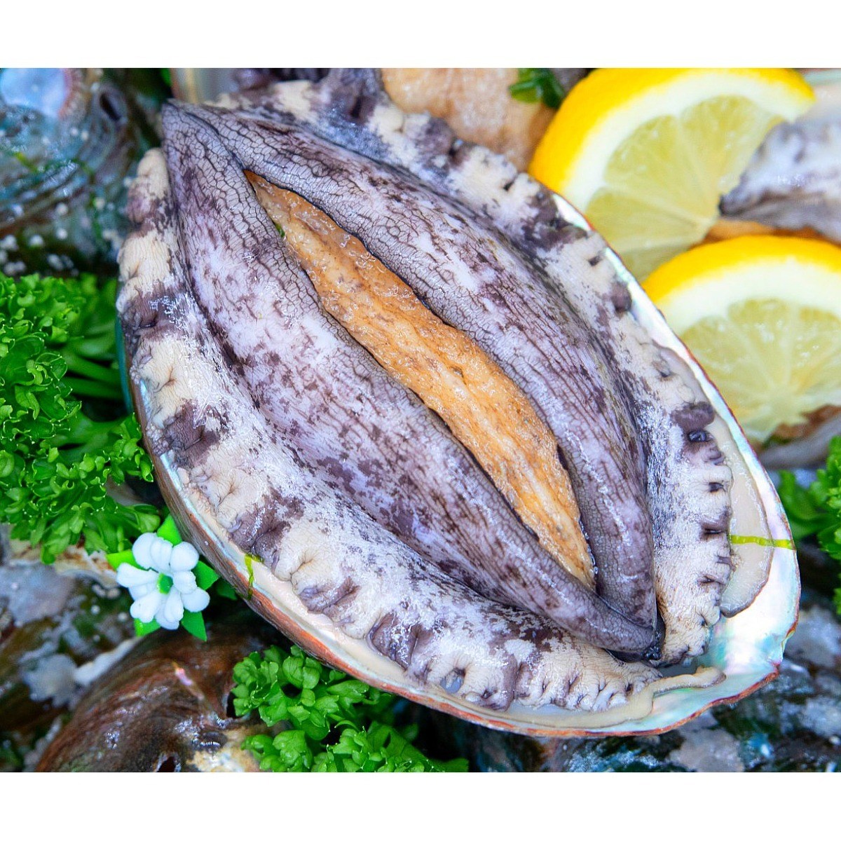 [생산자직송] 완도 활전복 특대 8~9미 1kg 선물세트 71,960원