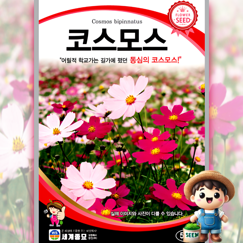 남흥원예사 코스모스 500립 원예 관상 조경 화단 용 꽃 씨 씨앗 종자 세계종묘, 1개 2,000원