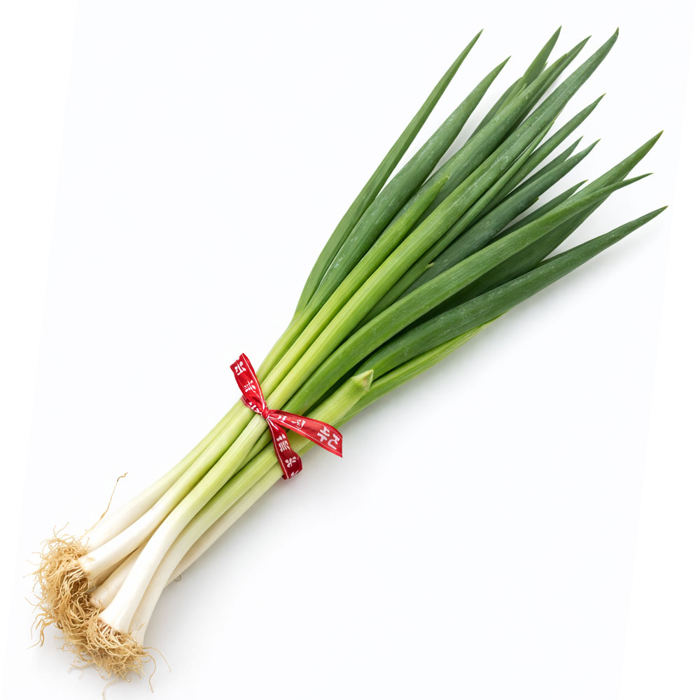 국산 남도 흙대파 대파 한단 2단 구입시 1단 추가증정 총 3단, 1개, 2kg 16,900원