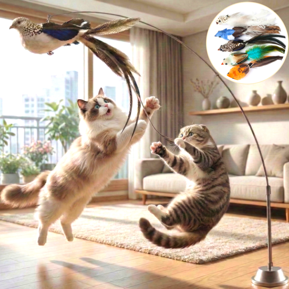스마일플로우 진짜같은 새 고양이 최애 풀세트 튼튼 고정 낚시대 장난감, 1세트, 블랙화이트 새 15,900원