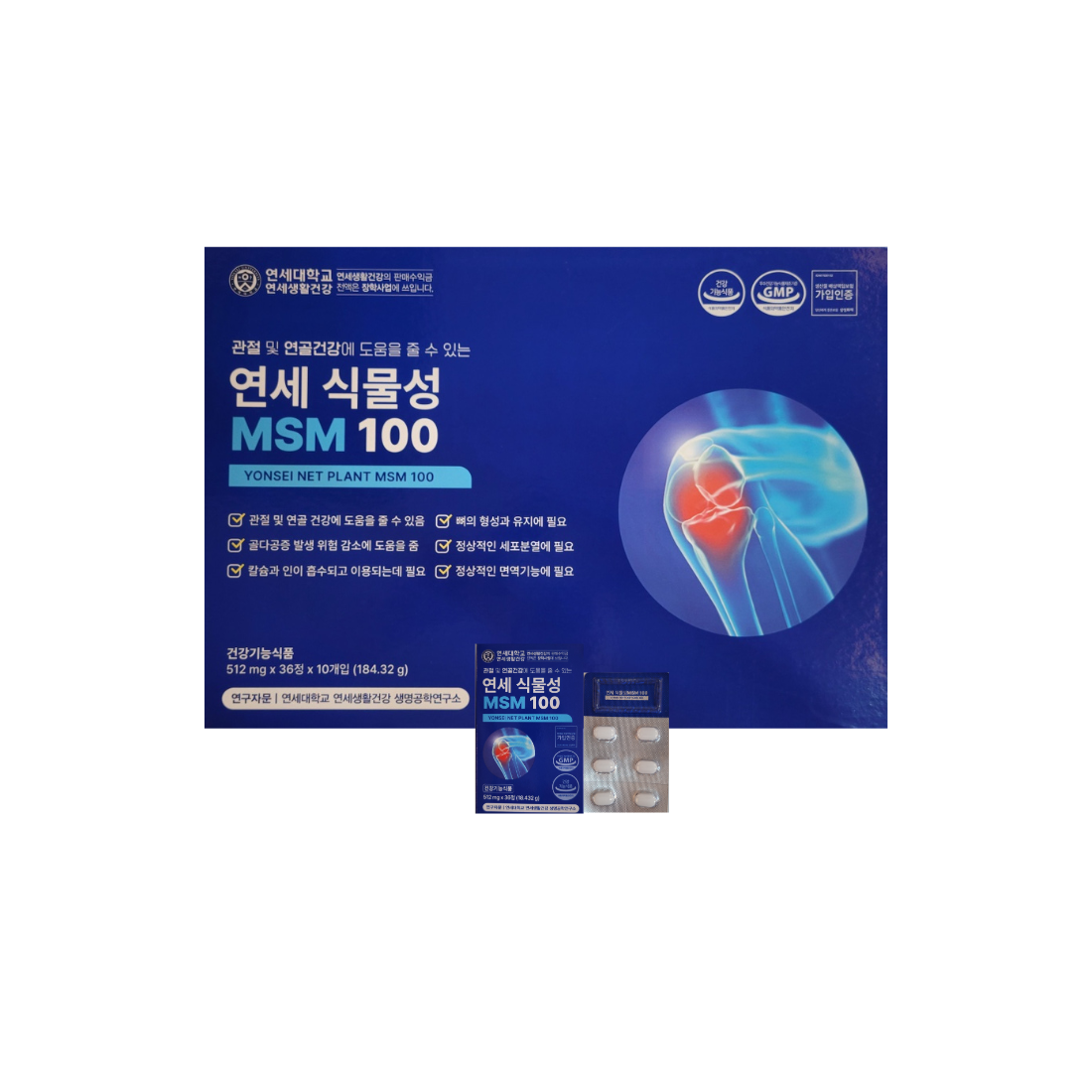 연세생활건강 연세 식물성 엠에스엠 MSM 100 980,000원
