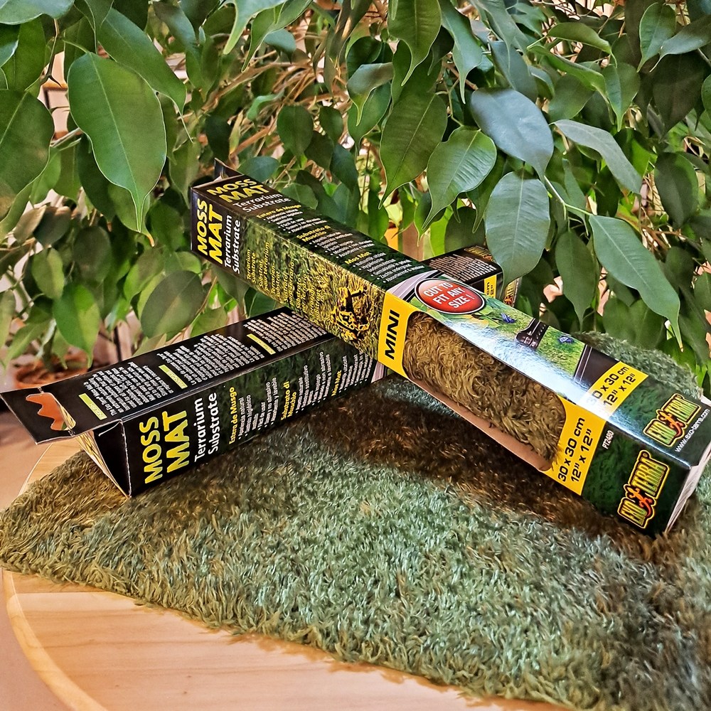 엑소테라 이끼매트 30x30cm 크레스티드게코 양서류 파충류 전용 바닥제  모스 9,500원