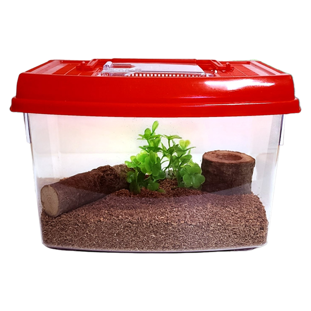 사필풍 장수풍뎅이 라운드 사육용품 초급자 세트 10,800원