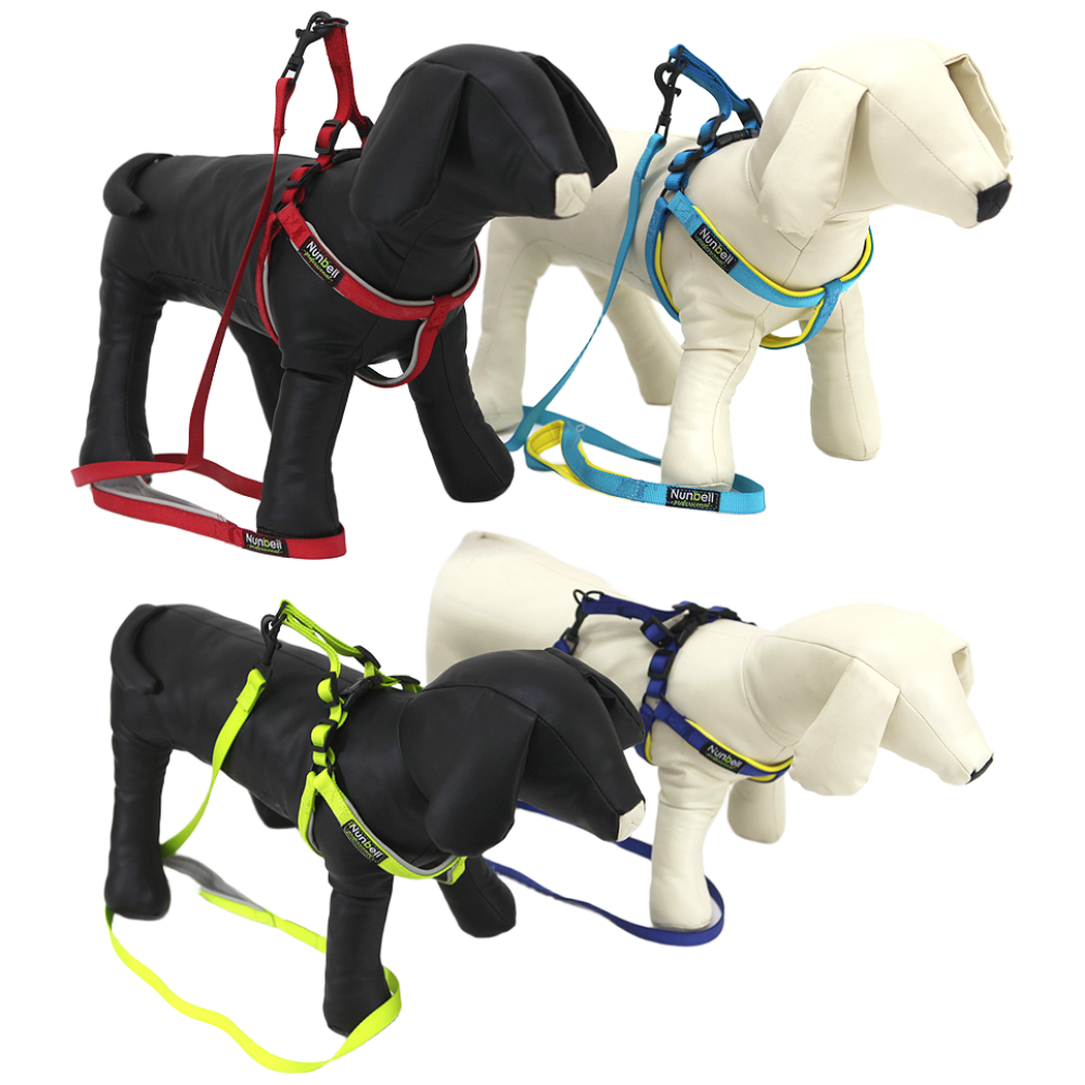 펫츄츄 강아지 H형 하네스 + 리드줄 세트, 에메랄드, 1개 4,900원