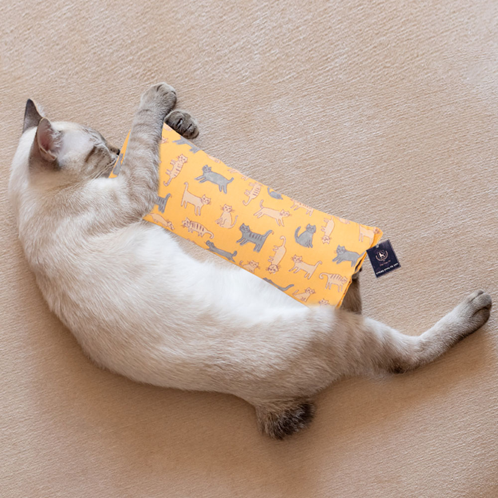 딩동펫 고양이 볼드 마따따비 캣닢 쿠션 바스락 장난감 대형 4,900원