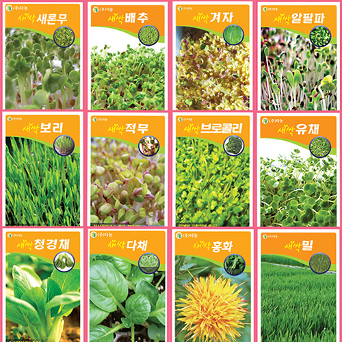 호미닷컴 새싹씨앗 12g x 12종 세트 20,000원