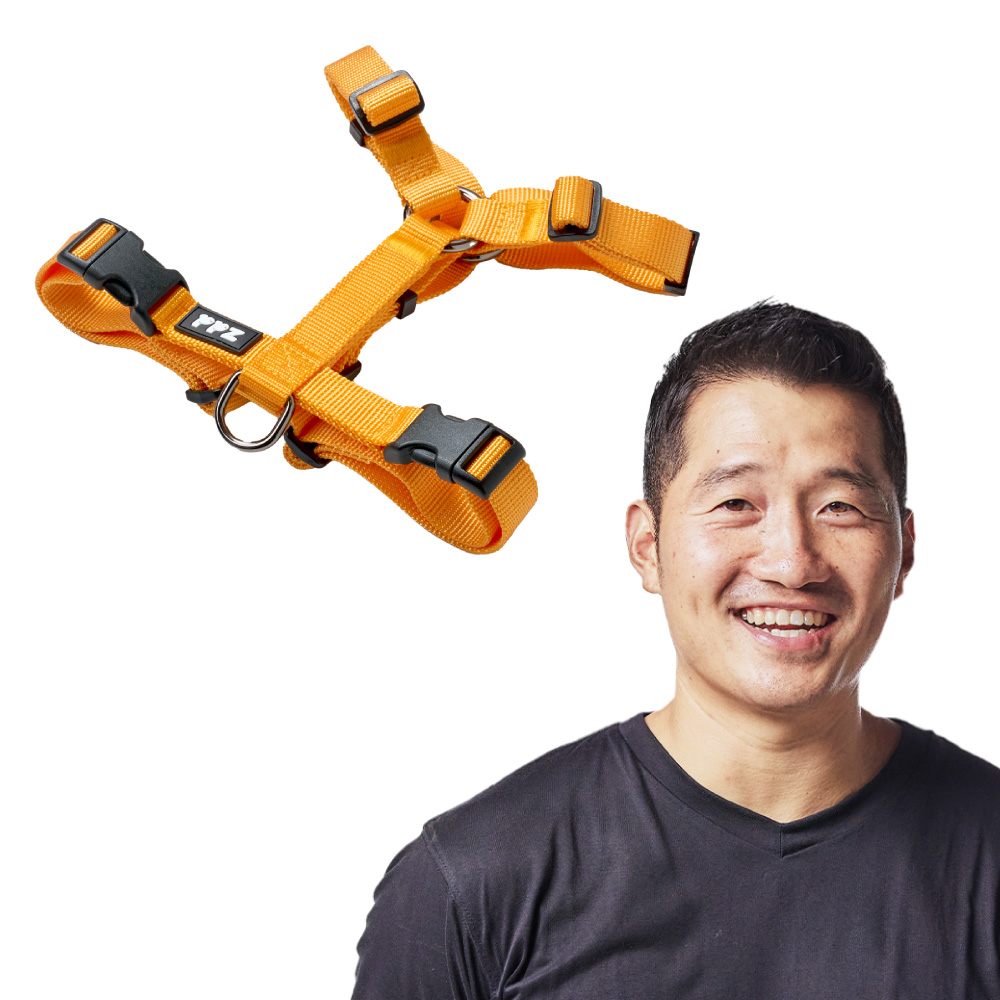 강형욱 추천 퍼피즈 어드벤처 가슴줄 (기본형), 강아지 하네스 산책줄 41,000원