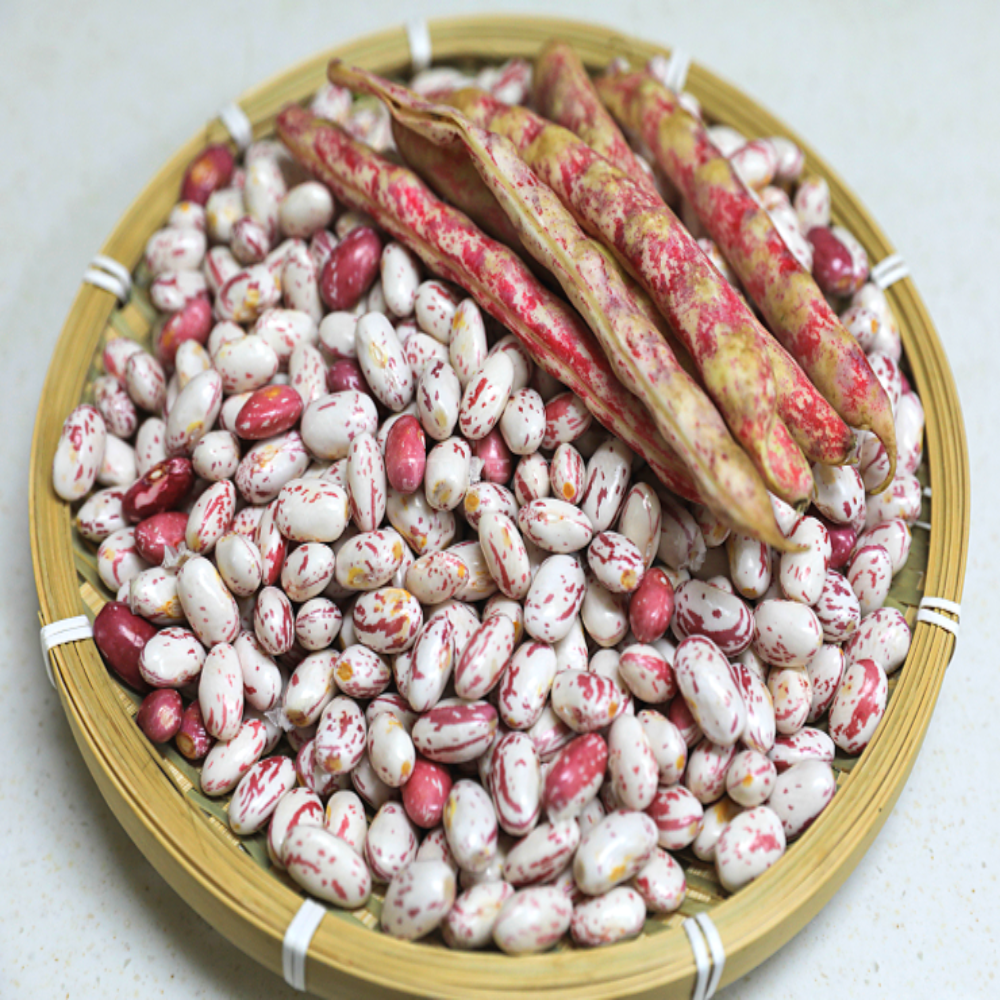 호랑이콩 유기농 줄콩 강원도 깐 얼룩 강낭콩, 2개, 400g 36,200원