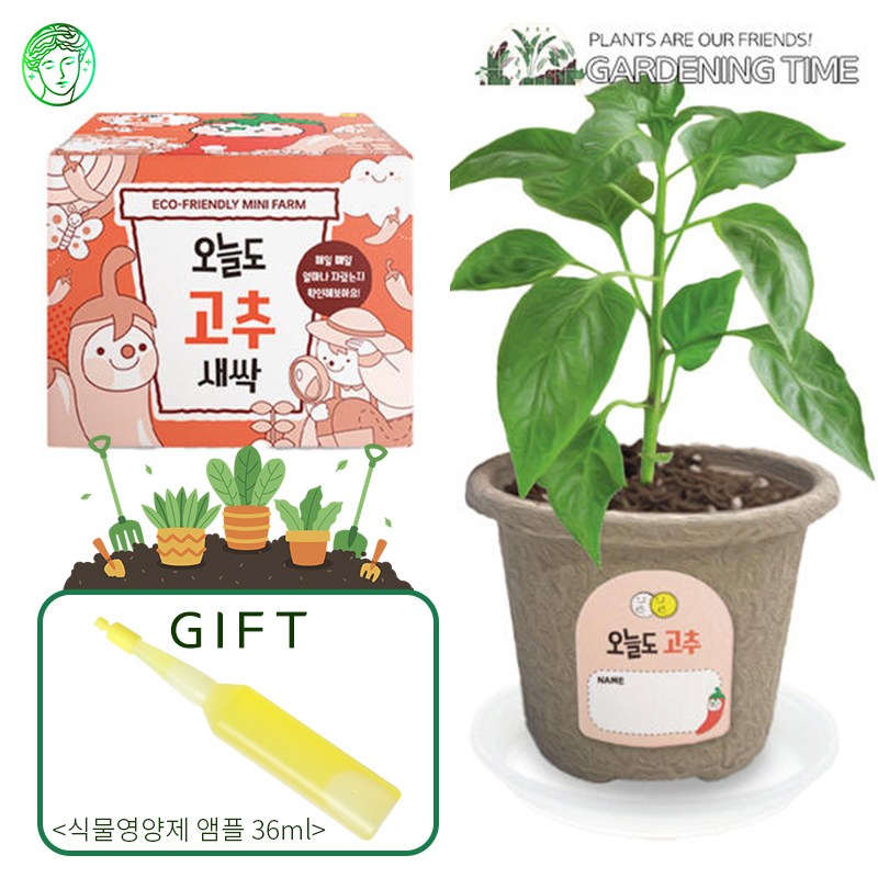 [식물영양제증정] 오늘도 새싹 - 지피포트 식물키우기 11종, 택1/ 원예 꽃재배 학습활동 모종키우기 원예체험 재배 2,800원