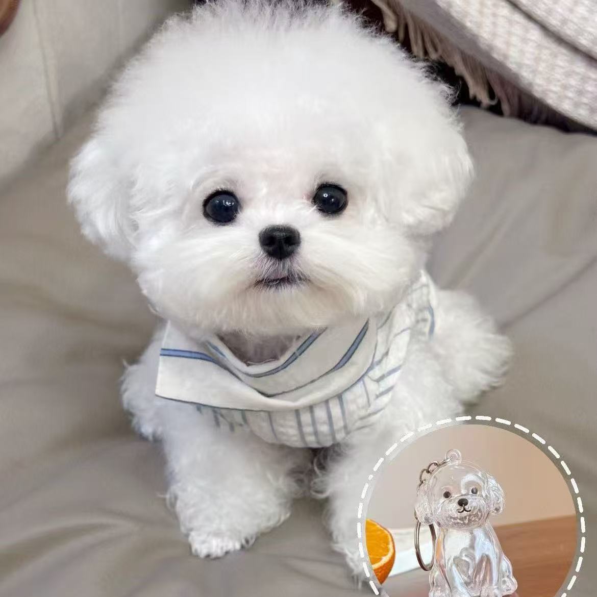 웨버몰 반려동물 털 보관 키링 4,900원