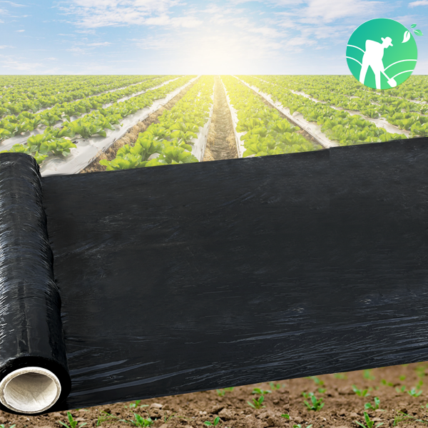 멀칭비닐 검정 0.02 x 90cm x 200m 무공 마늘 양파 농산물 농업용 필름 텃밭 주말농장 흑색, 1개 23,900원
