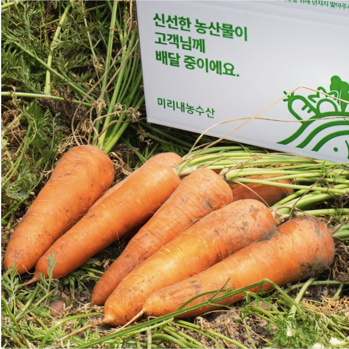 [미리내 농수산] 햇 당근 국내산 흙당근 제주 구좌 당근, 1개, 1kg [상] 94,050원