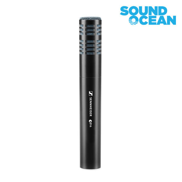 젠하이저 마이크 740,000원