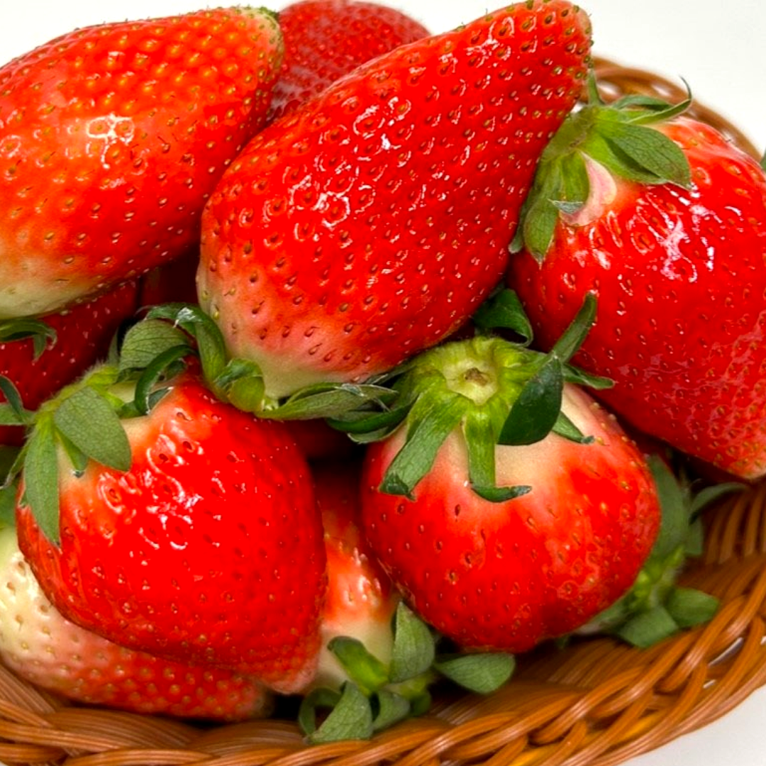 킹스베리 생딸기 산지직송 400g (프리미엄 품종), 1개, 왕특 1팩(8~9구) 400g 20,100원