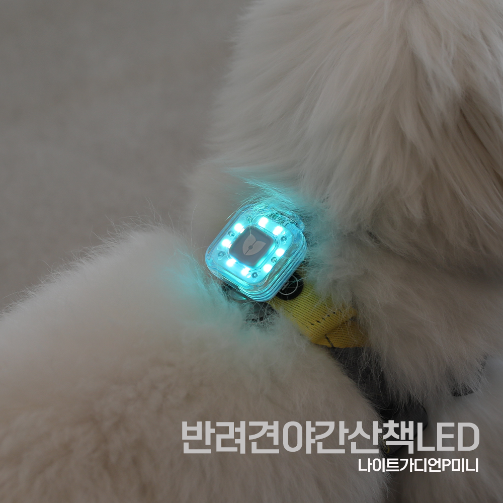나이트가디언P 야간 산책 LED 랜턴 목걸이 USB 팬던트 방수 후레쉬 강아지 멍멍이 소형견 자체제작, 1개 21,000원