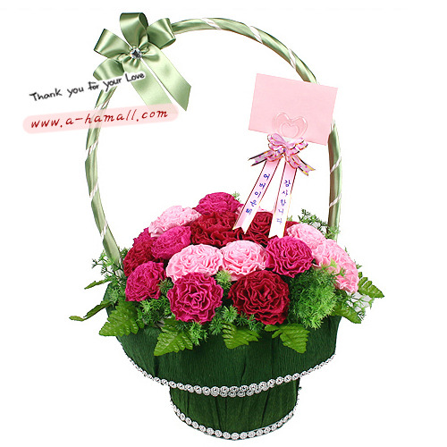 어버이은혜(그린)주름지 카네이션 꽃 바구니(어버이날 스승의날 선물로 인기) 25,900원