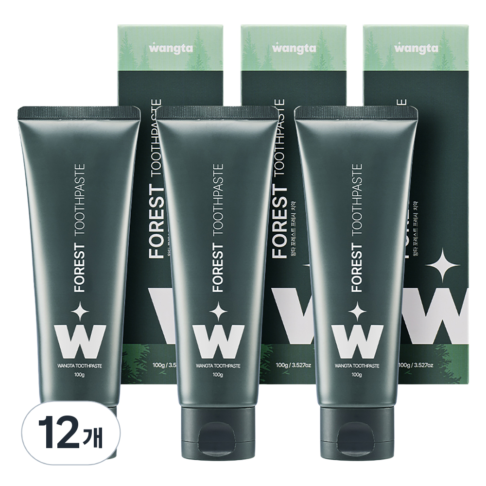 왕타 포레스트 프레시 구취케어 치약, 100g, 12개 59,200원