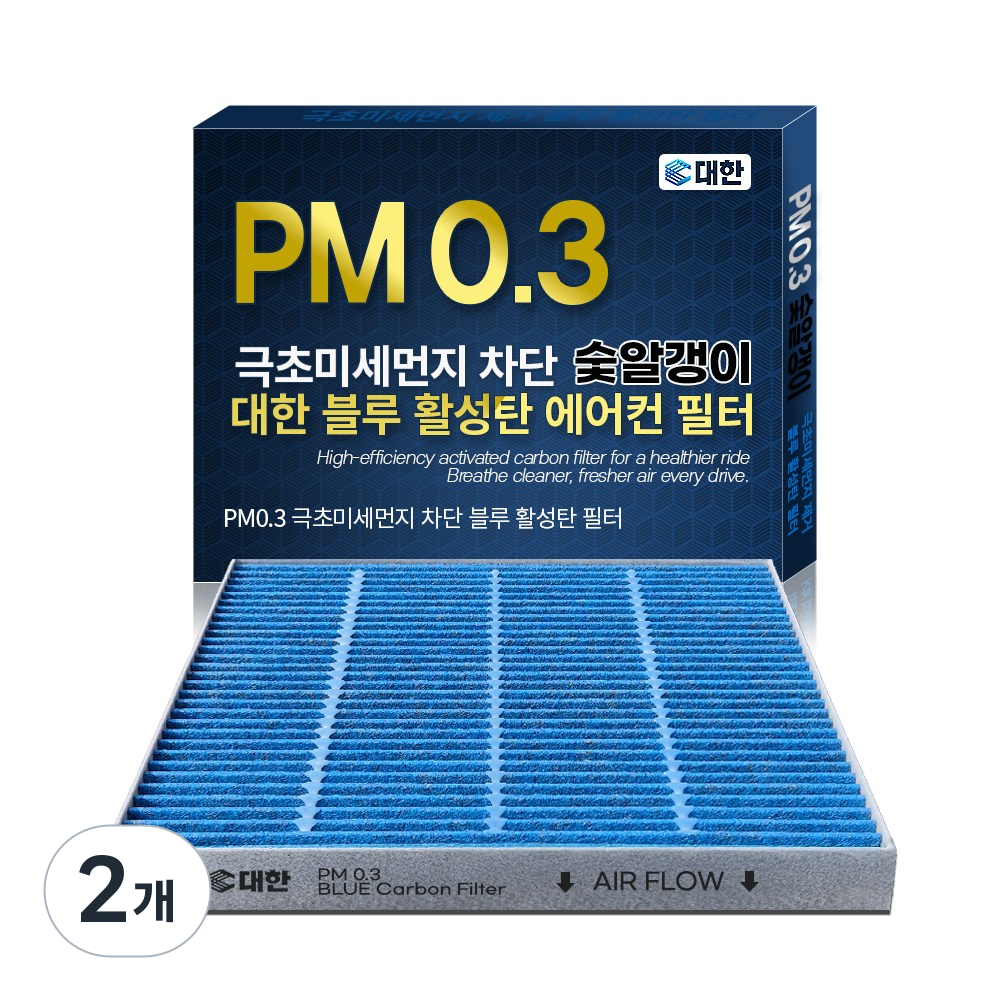 대한카필터 PM0.3 블루 활성탄 자동차 에어컨 필터, 2개, BF099 14,900원