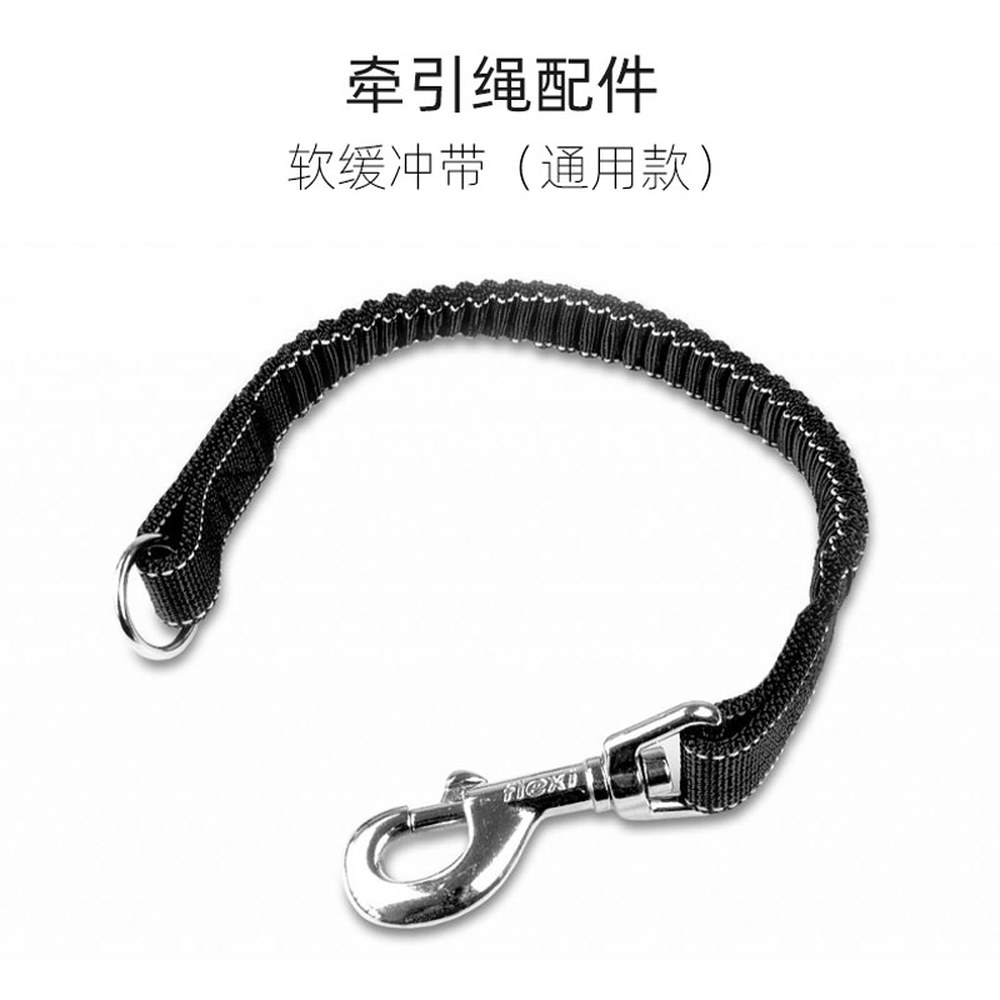 플렉시 자이언트 프로페셔널 자동리드줄 강아지 10m 대형견 8m flexi Giant 83,900원