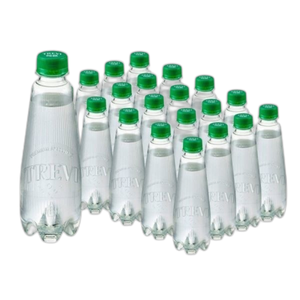 오늘출발 트레비 레몬 에코 무라벨 29,400원