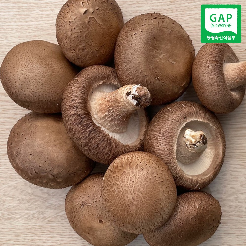 국내산 유기농 표고버섯 1.5kg 동고 상 GAP 인증 농장직송, 1개, 1.5kg 27,900원