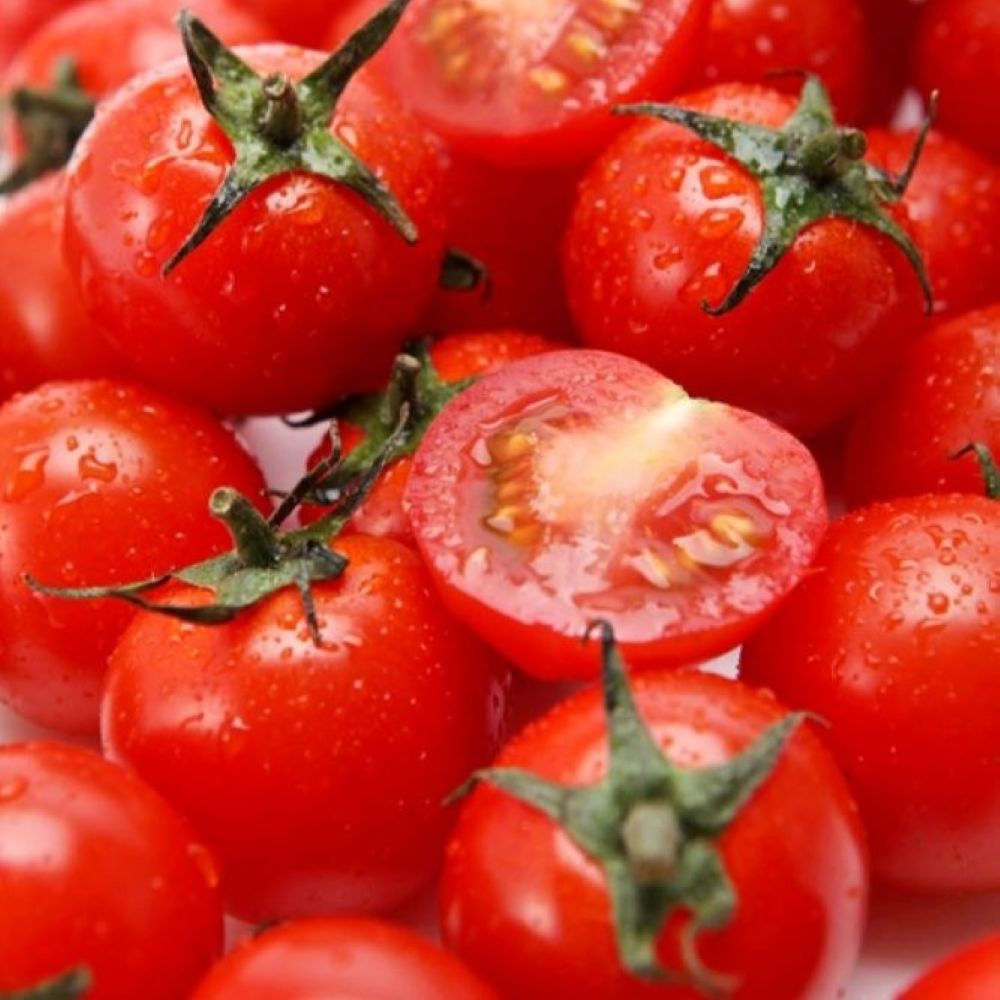 부담없는 달콤새콤 토망고 스테비아 대추방울토마토, 1개, 2kg(총4팩) 43,800원