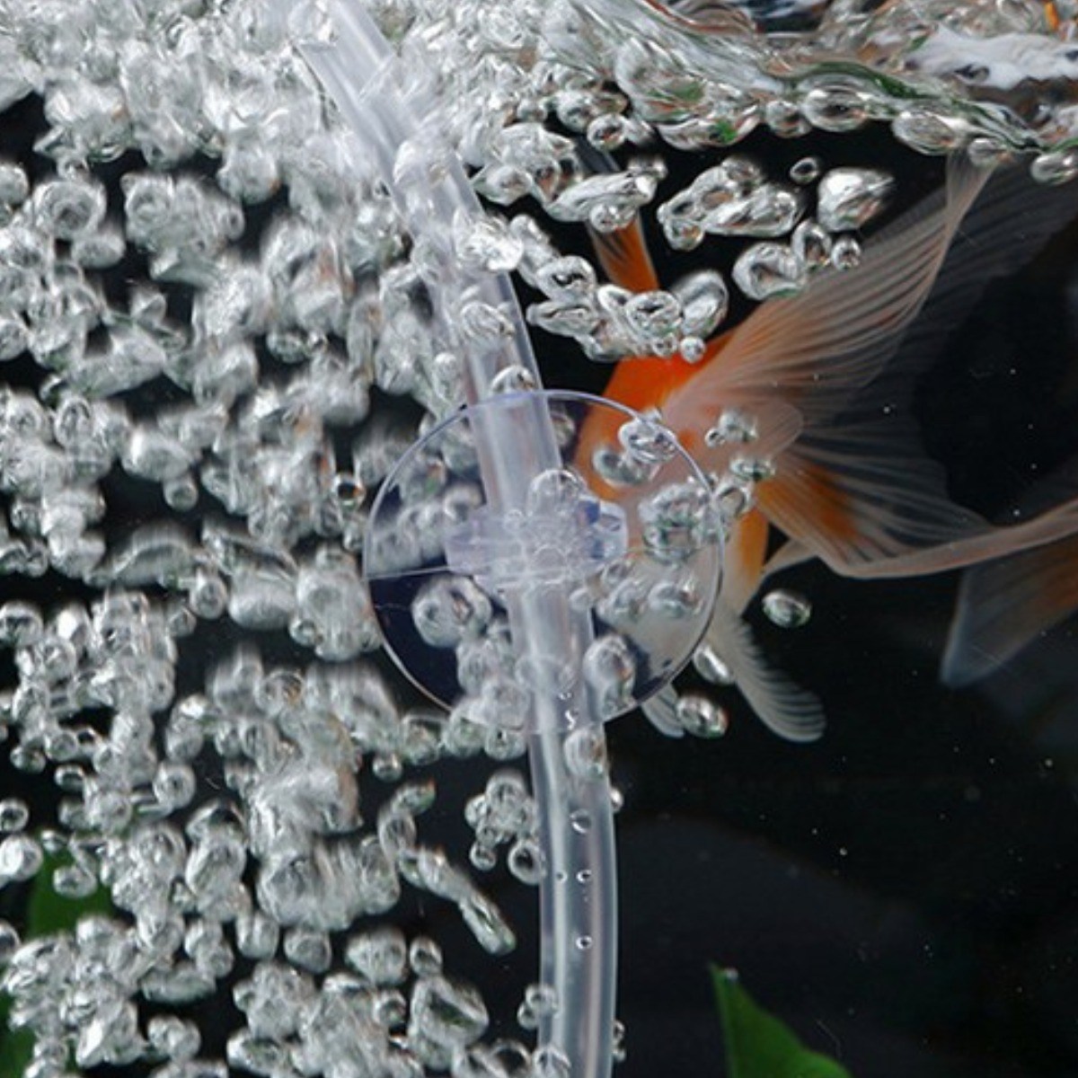 에어호스 정리 큐방 분리형 고무 벌크 어항 수족관 걸이 흡착 벽면 고정 5p 1,710원