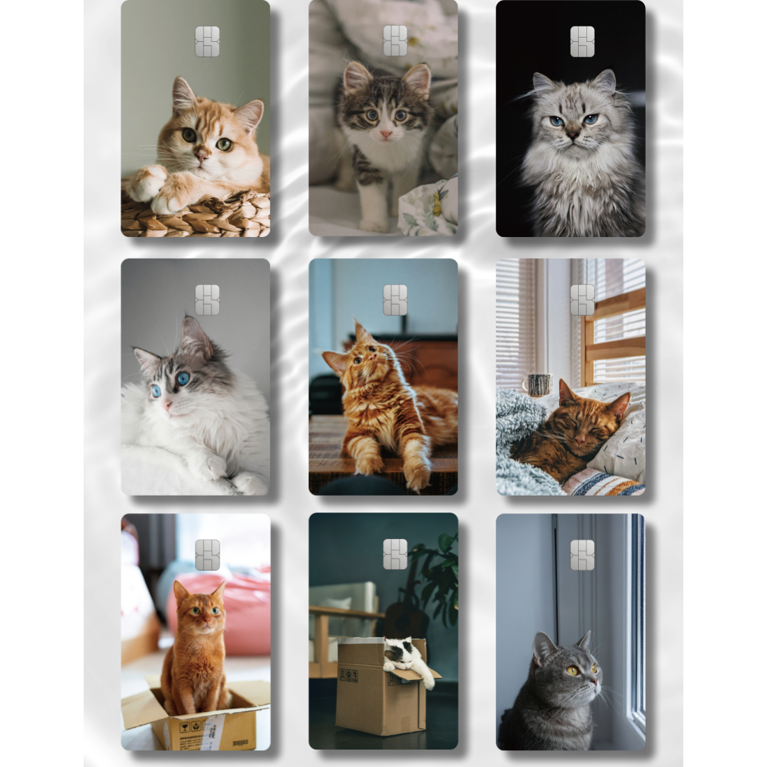 귀여운 고양이 카드스티커 1+1 신용 체크 카드 스티커 커스텀 카꾸 8,500원