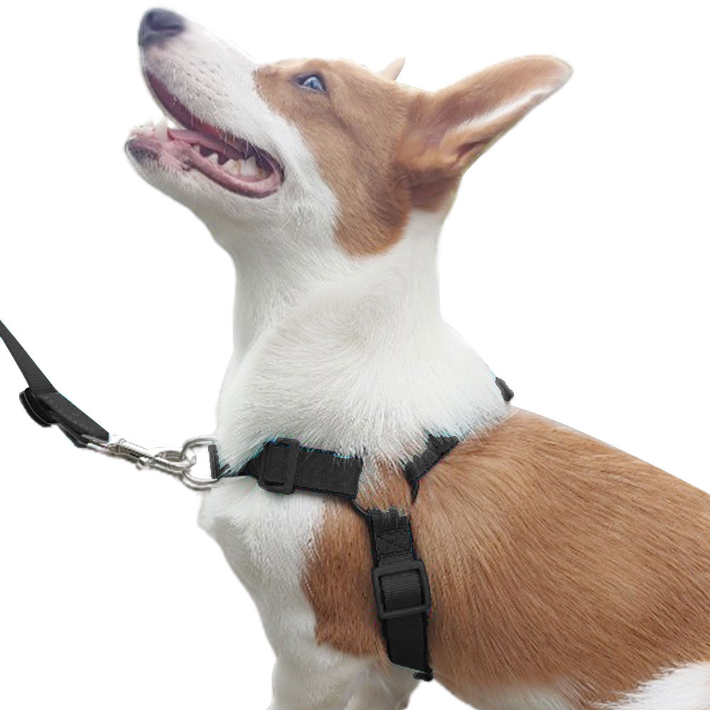 펫스츄리 중대형견용 이지워크 하네스 13,810원