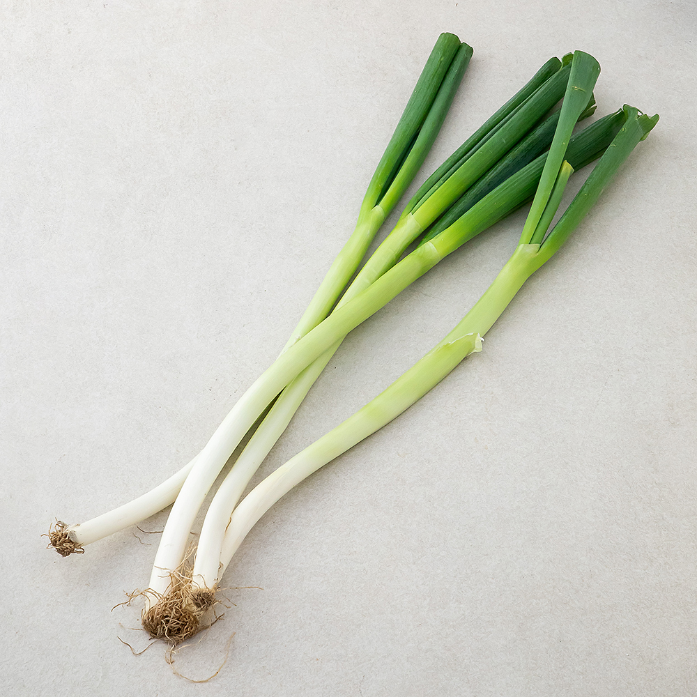 국내산 친환경 대파 2,890원