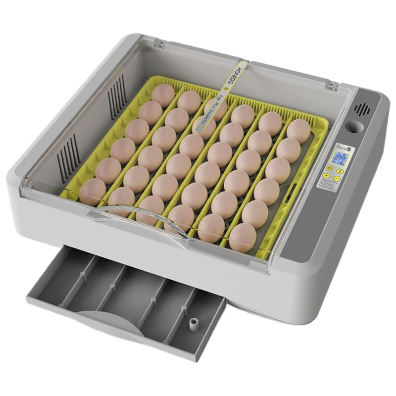 DEEKAILE 스마트 자동 병아리 부화기 가정용 계란부화기 육추기 36구, 1개, 화이트 118,000원