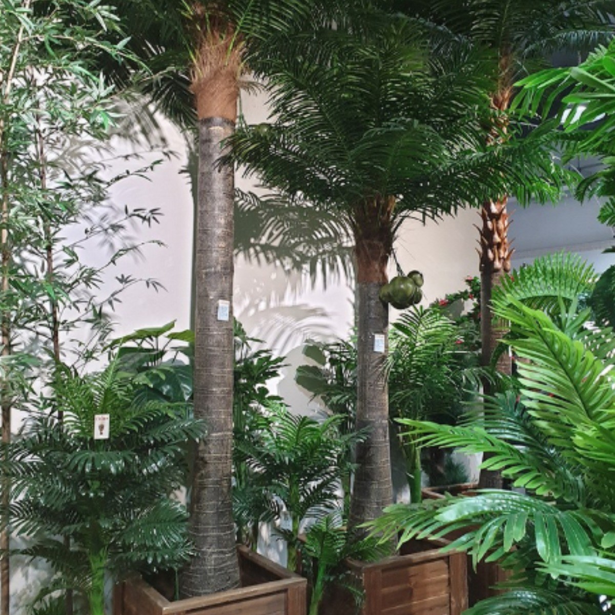 호가 대형 야자나무3종 499,000원