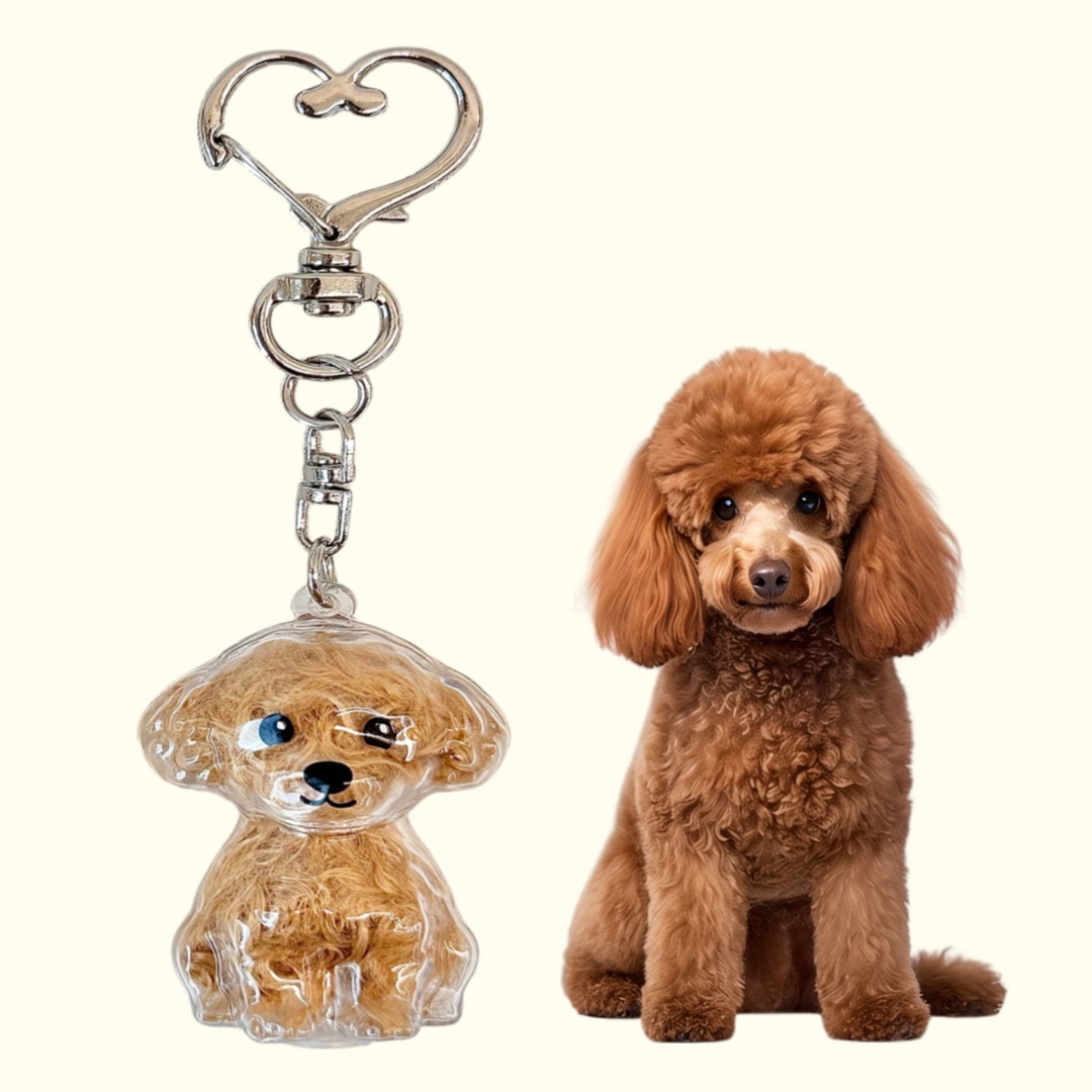 강아지 고양이 털 키링 보관 선물 캡슐 메모리얼 펫로스 반려동물 6,200원