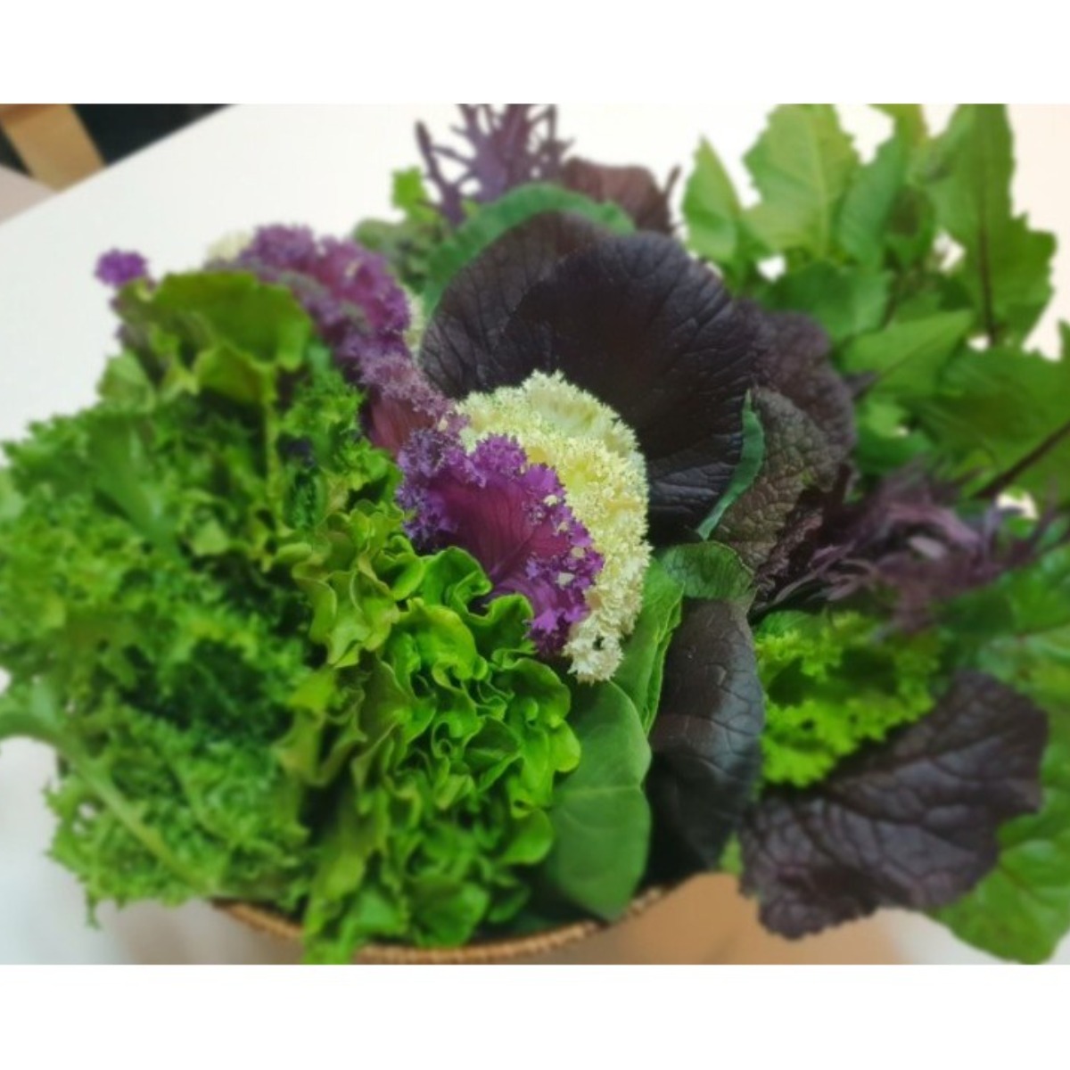 조아쌈 GAP 모듬 쌈채소 샐러드 야채 당일 수확, 당일 발송 상주 로메인 겨자 케일 외10종이상, 1개 12,000원