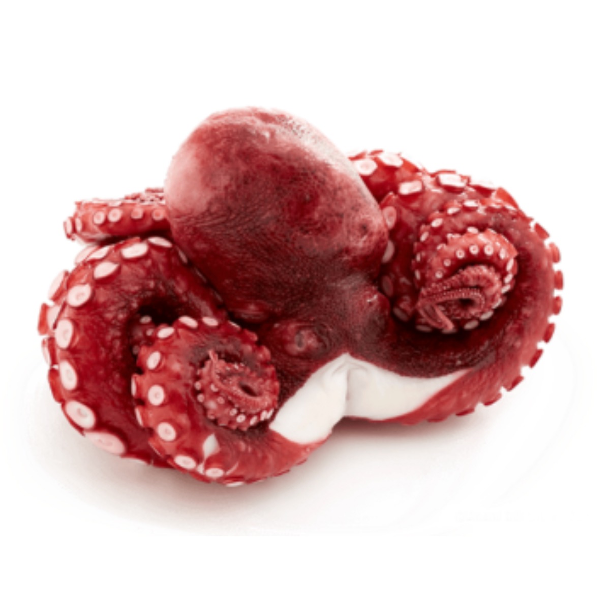 세척 손질 자숙 문어 필리핀 문어숙회 제수용, 1개, 약 900g 22,500원